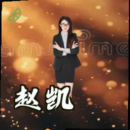 赵凯